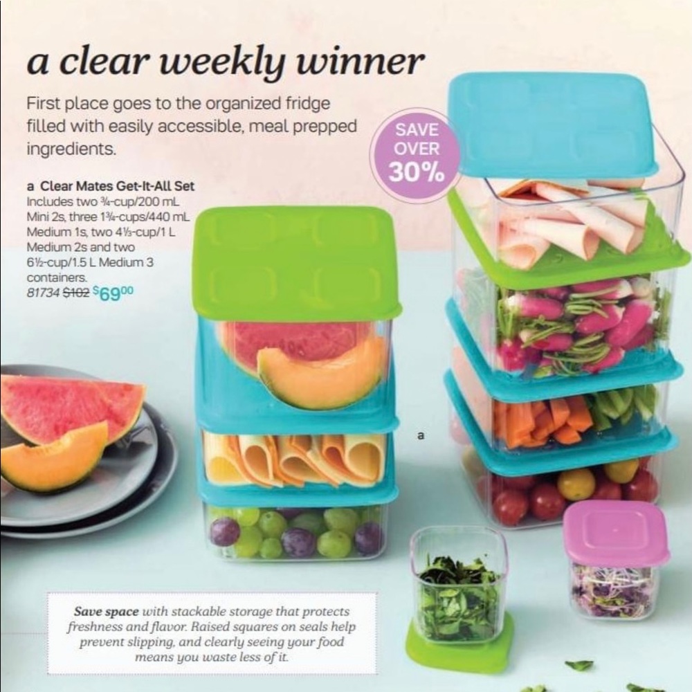 Tupperware clear mates get it all set